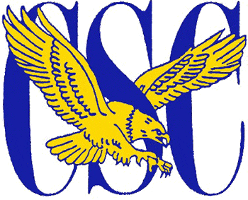 Coppin State Eagles 1988-2003 Primary Logo heat sticker